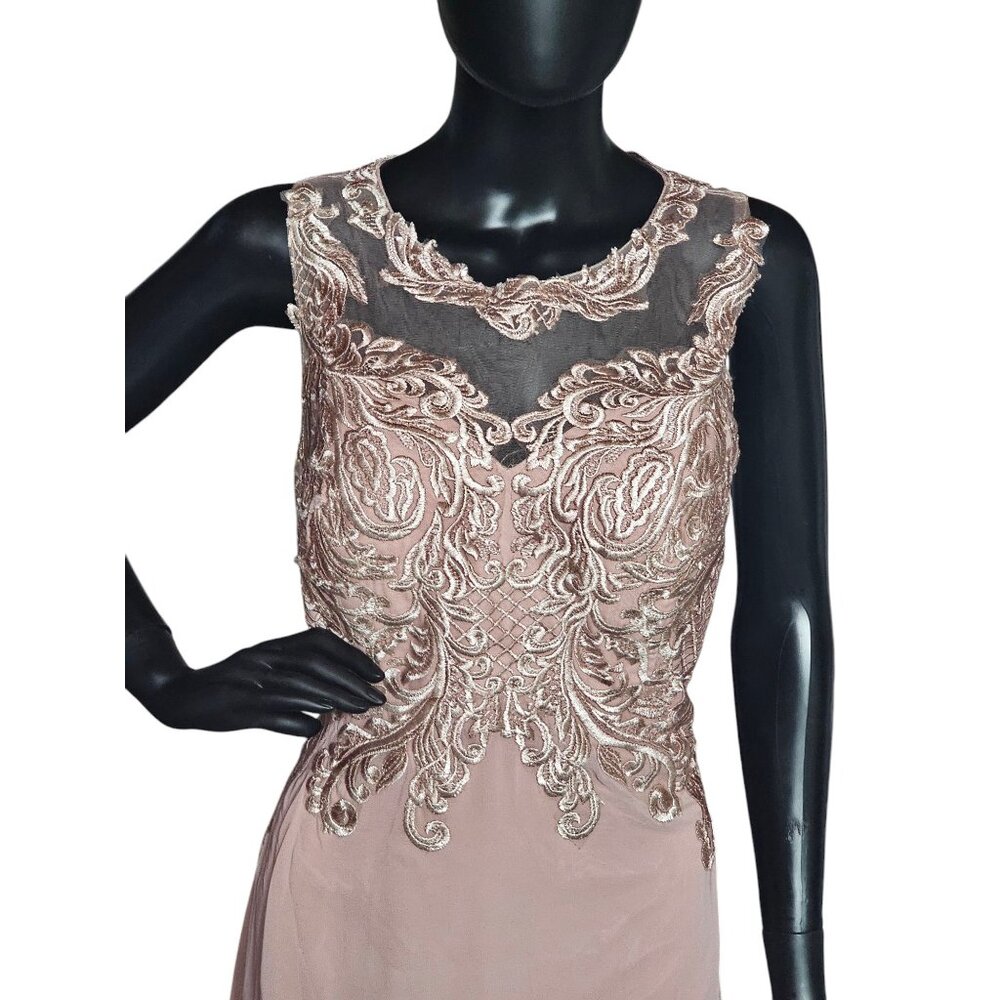 Soft Rose Illusion Bodice Formal Gown - NWT